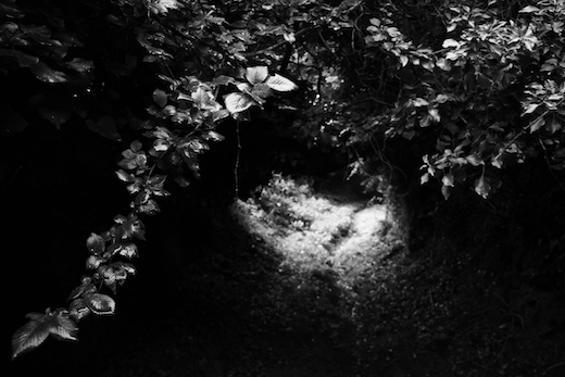 Allée combre de Bretagne - extraint de Traversées, un livre de photos en noir et blanc